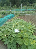 20100215Farm Visit29.jpg